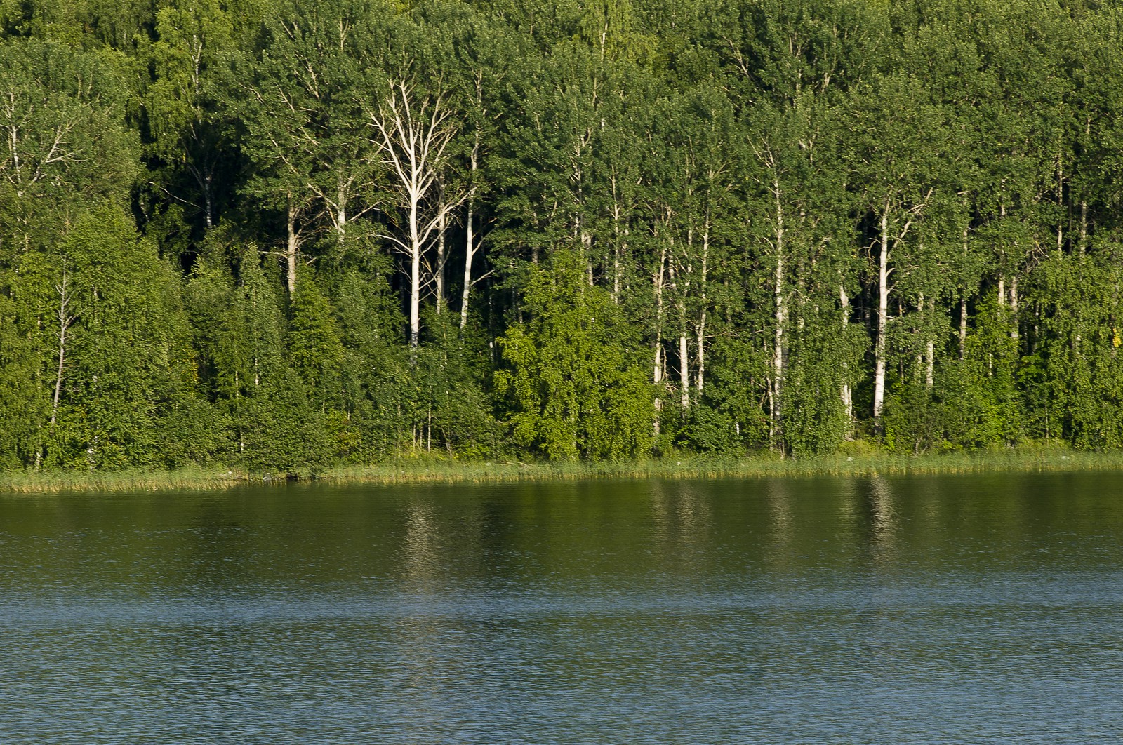 Lac Onega Lac Onega