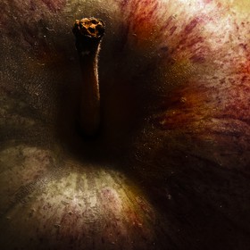 Pomme, nature morte