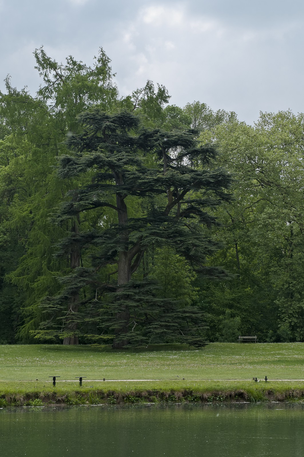 Parc d'Azay-le-Rideau Parc d'Azay-le-Rideau