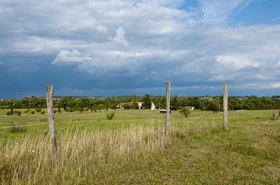 Champs et clôture