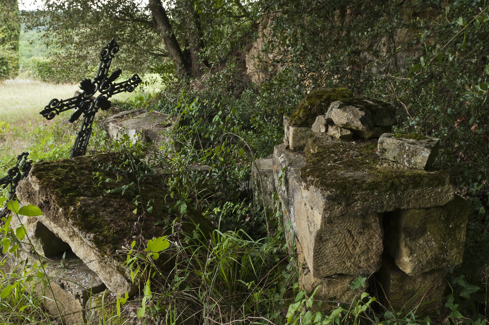 Cimetière abandonné Cimetière abandonné