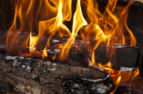 Feu de bois