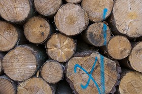Rondins de bois