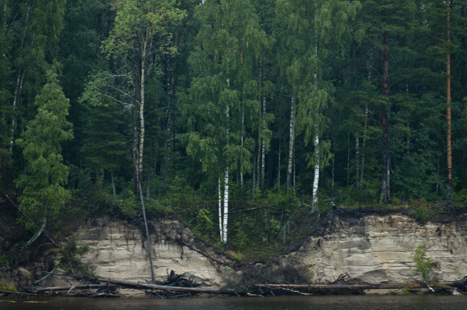 Les berges du Svir Les berges du Svir