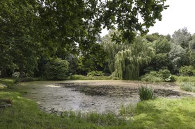 Etang