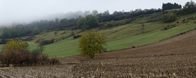 Paysage en Ariège