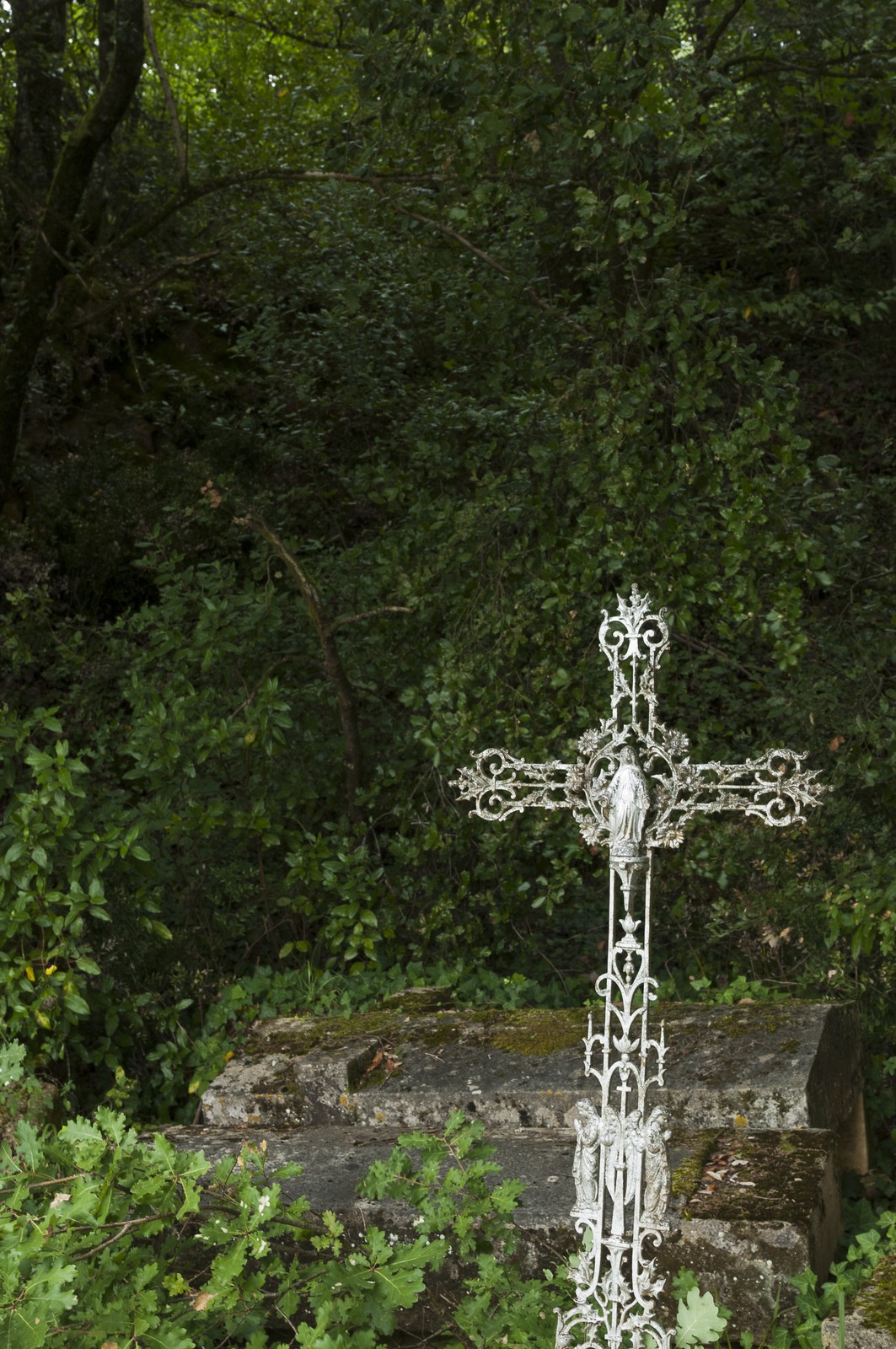 Cimetière abandonné Cimetière abandonné