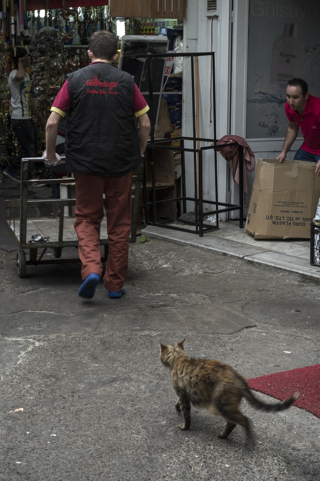 Le chat et le manutentionnaire Le chat et le manutentionnaire