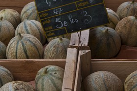 Melons