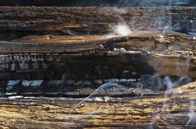 Feu de bois