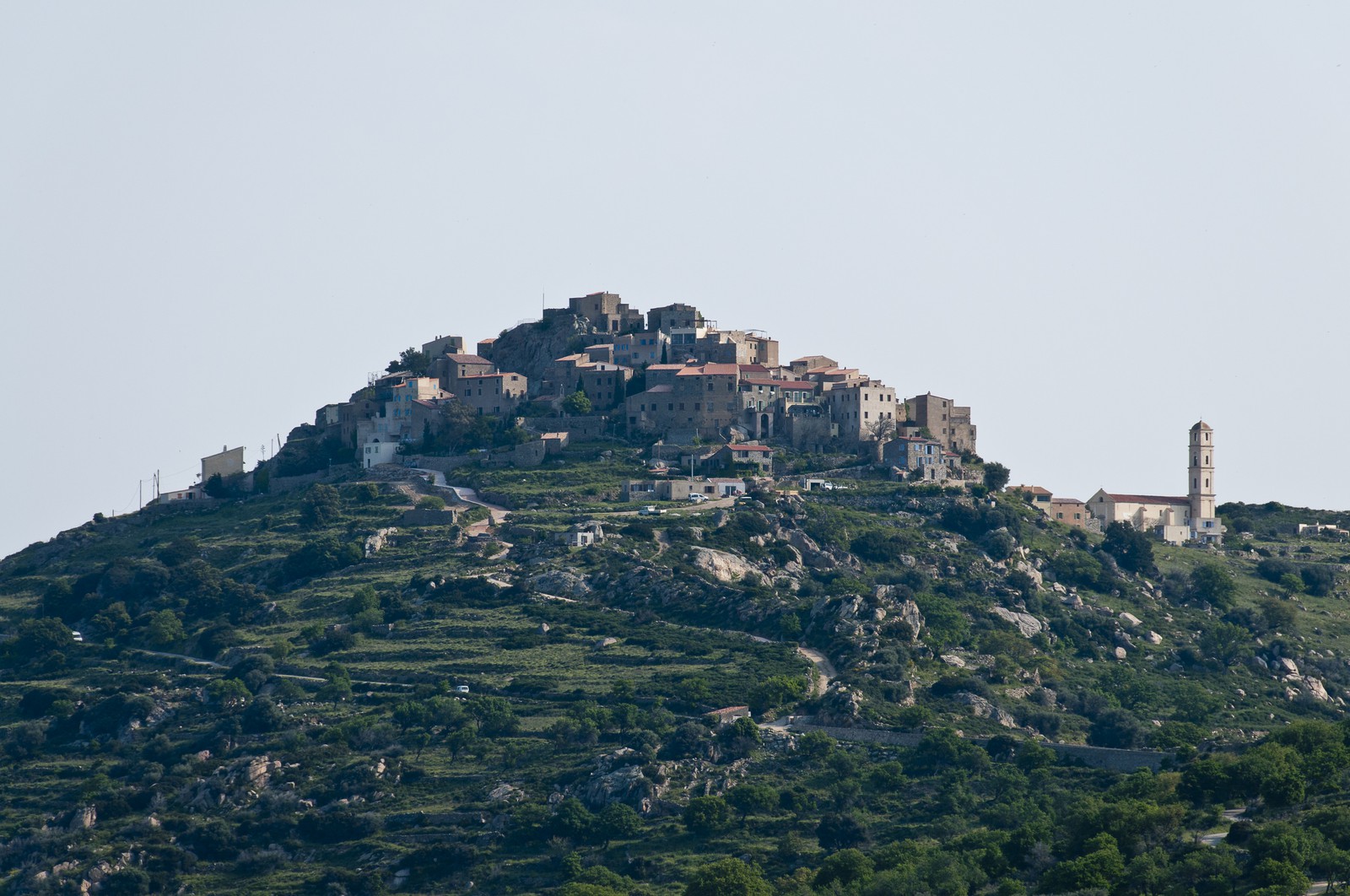 Sant'Antonino