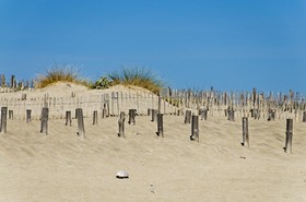 Plage du Barcarès
