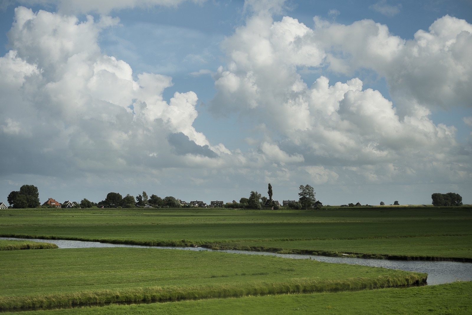 Champs hollandais