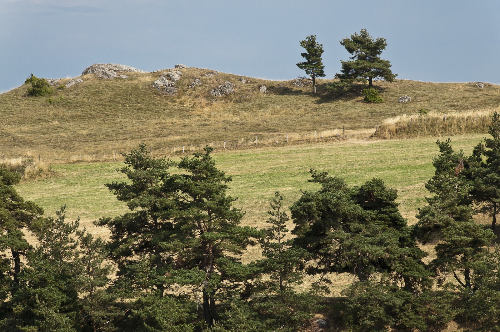 Paysage du Gévaudan Paysage du Gévaudan