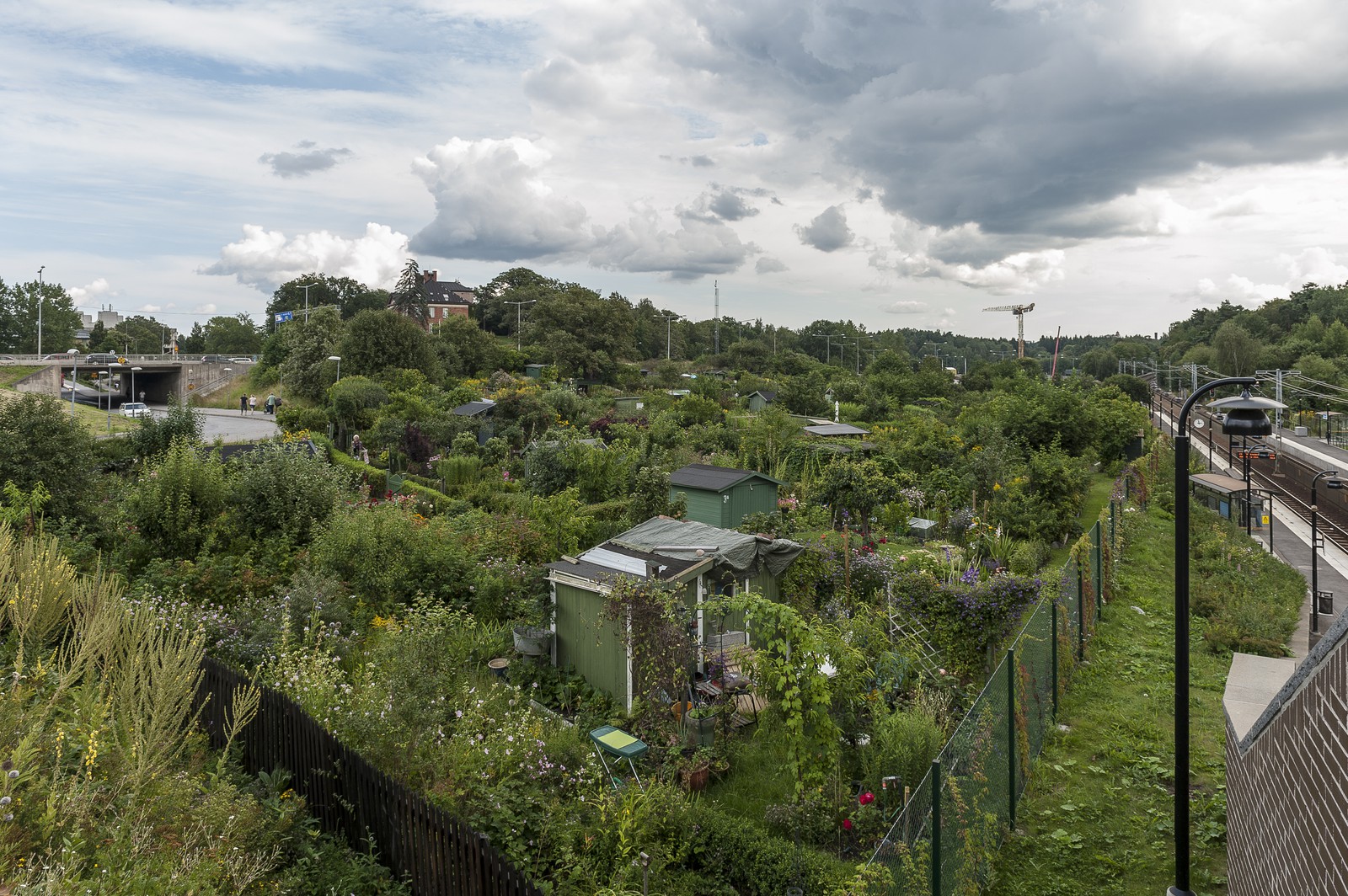 Jardins familiaux