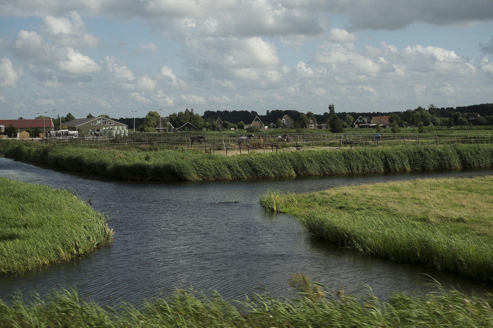 Champs hollandais