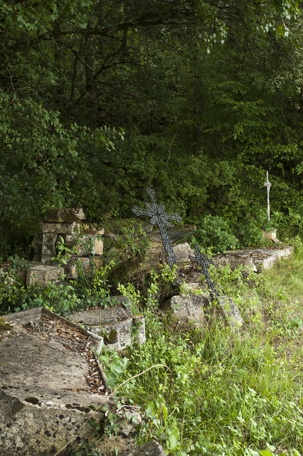 Cimetière abandonné Cimetière abandonné