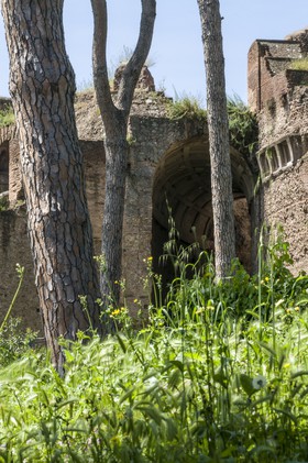 Le stade du Palatin