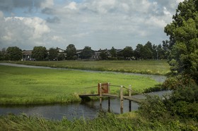 Champs hollandais