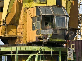Grue