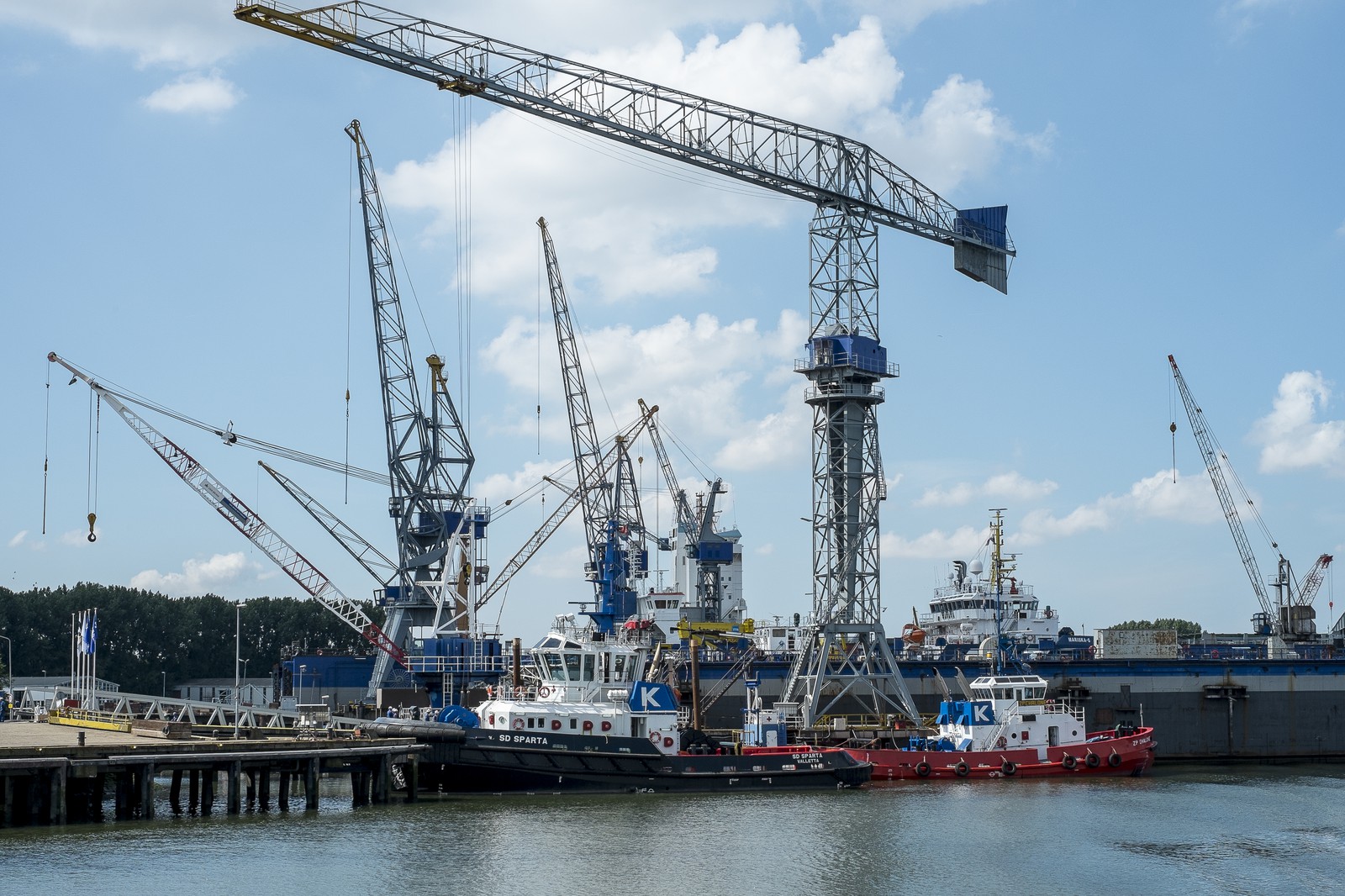 Grues