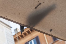 Le pigeon curieux