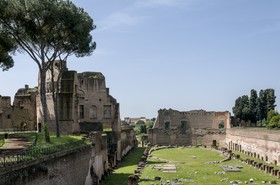Le stade du Palatin
