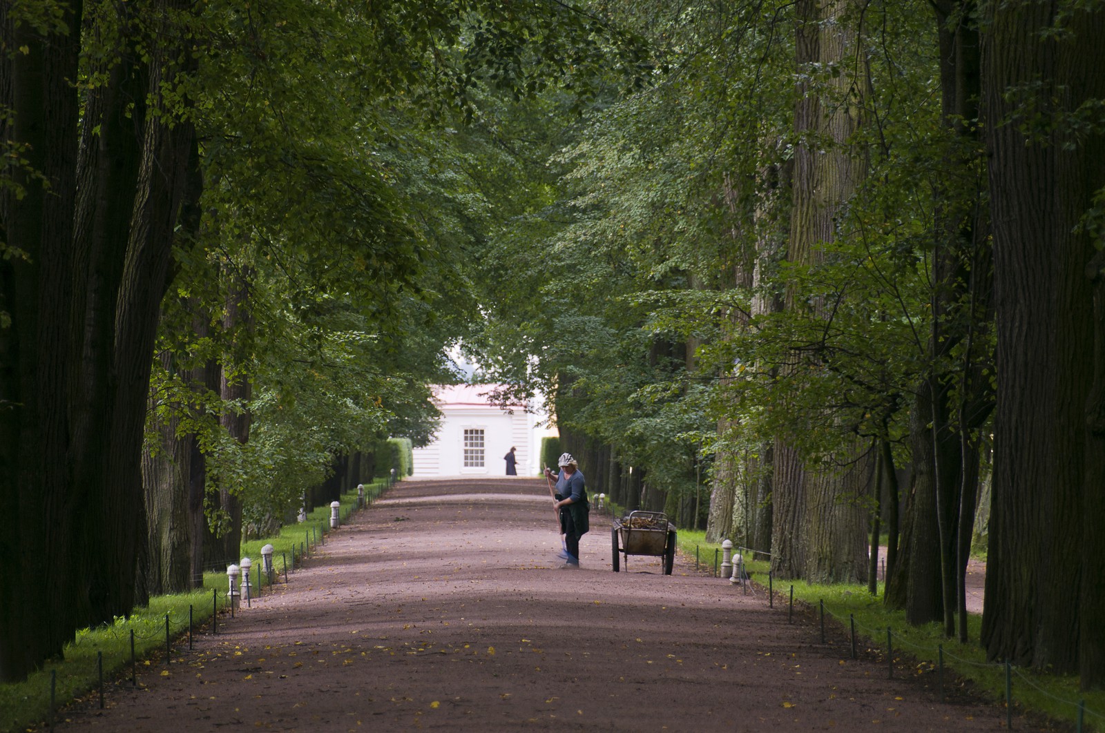 Parc inférieur Parc inférieur