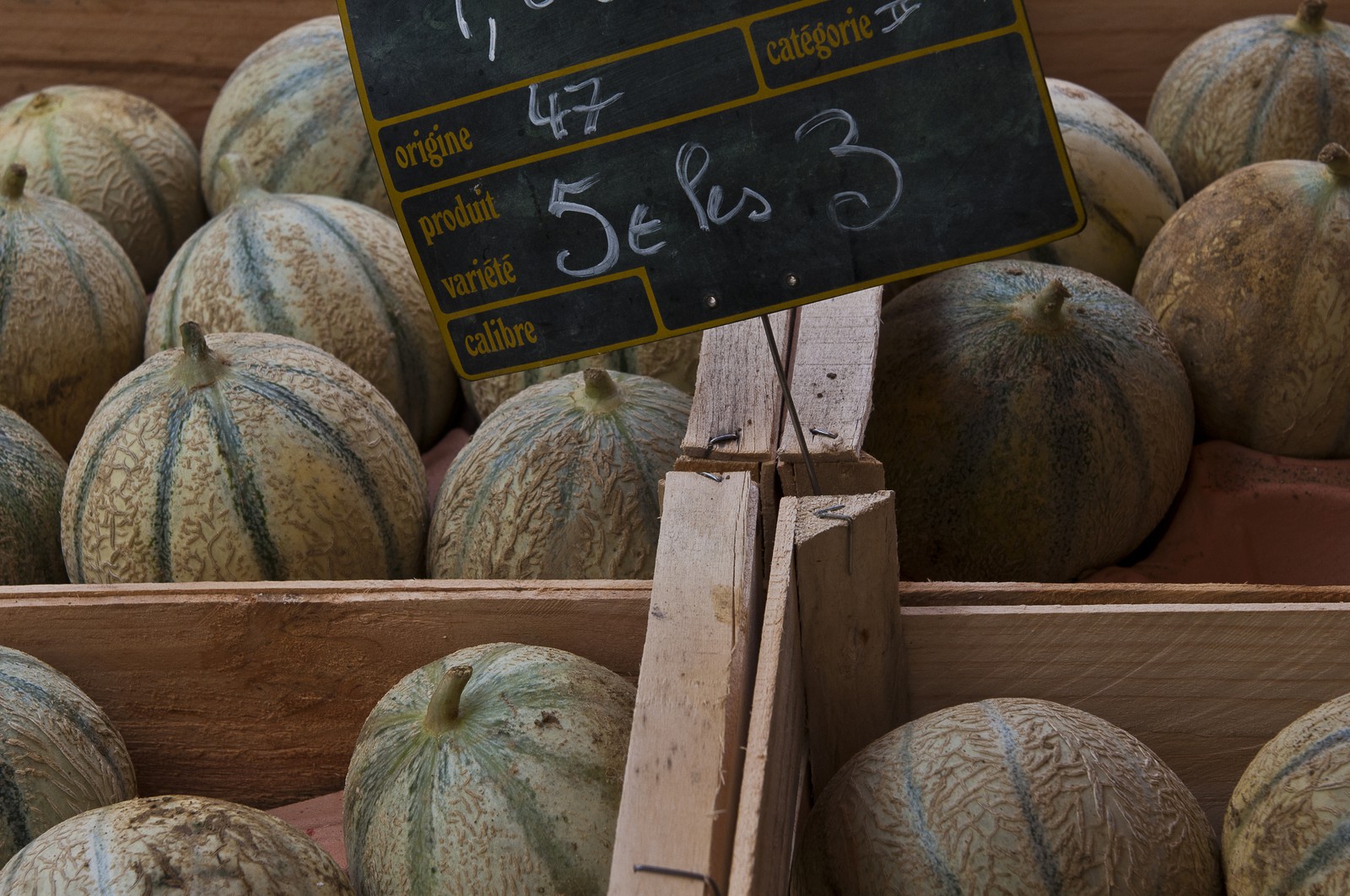 Melons