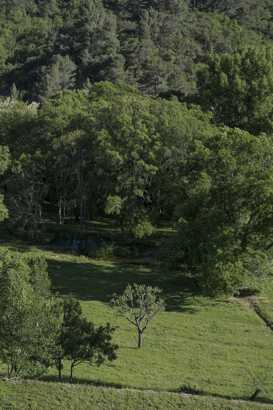 La vallée La vallée