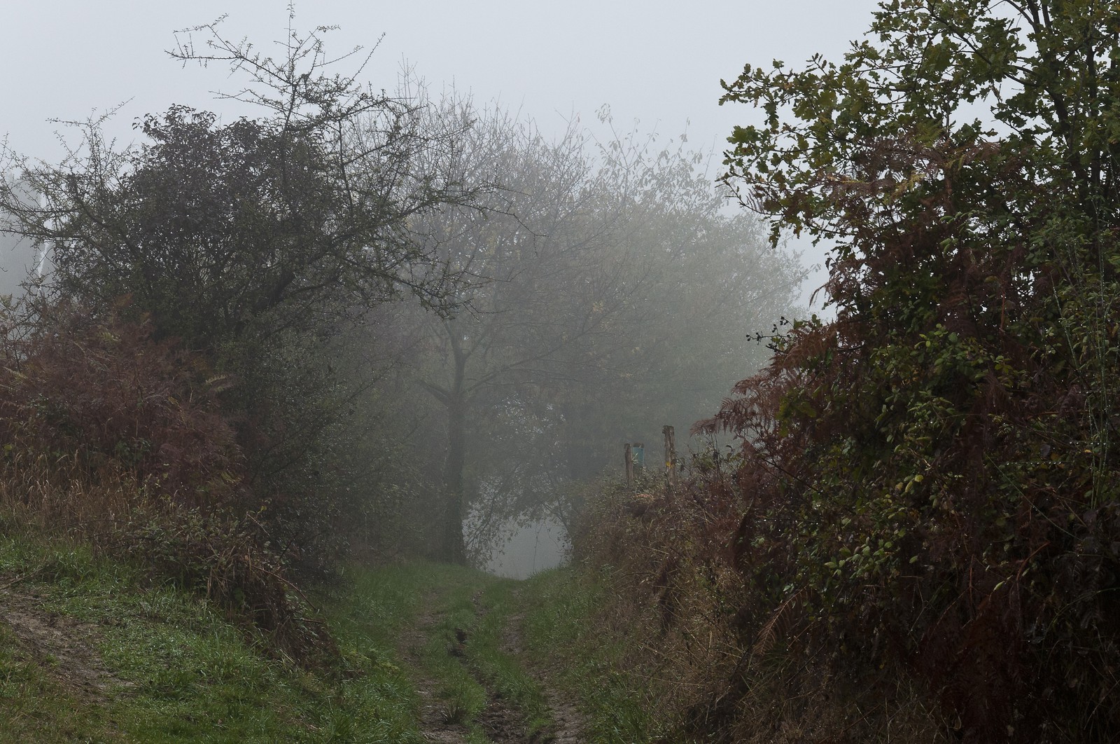 Paysage en Ariège