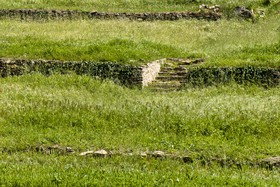 Prairie