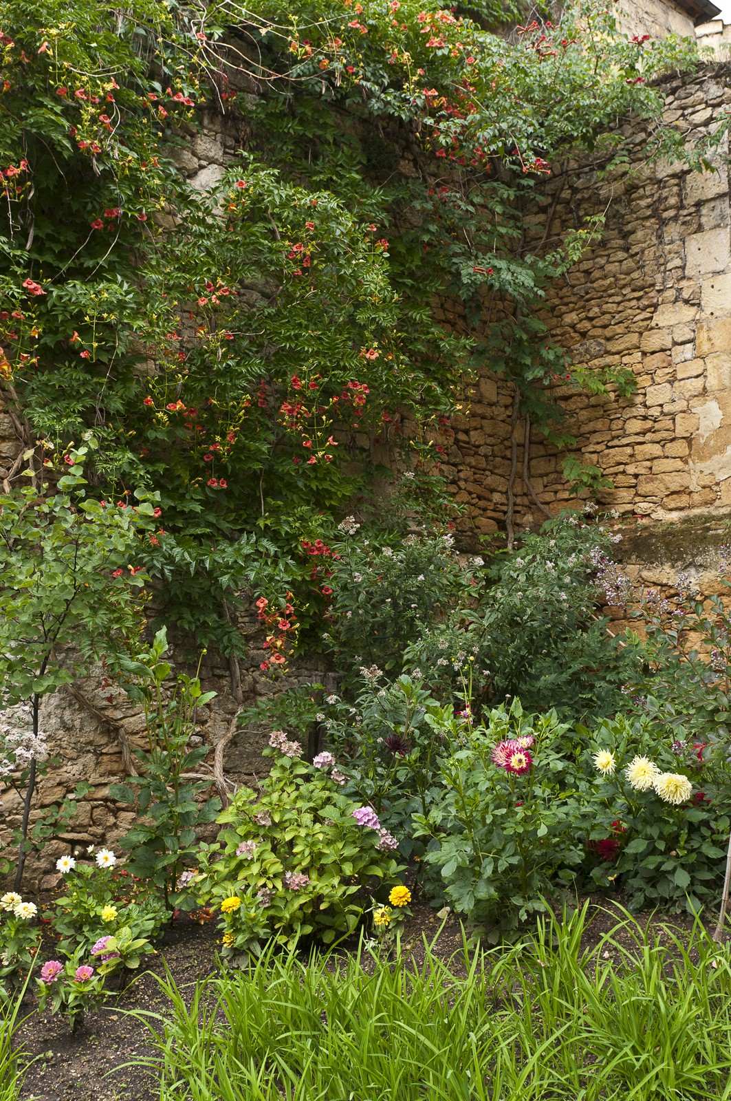 Jardin