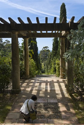 Pergola