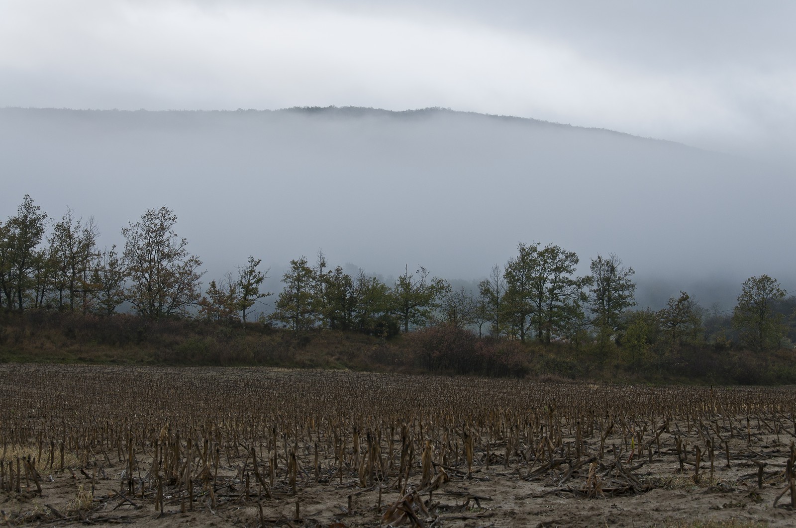 Paysage en Ariège