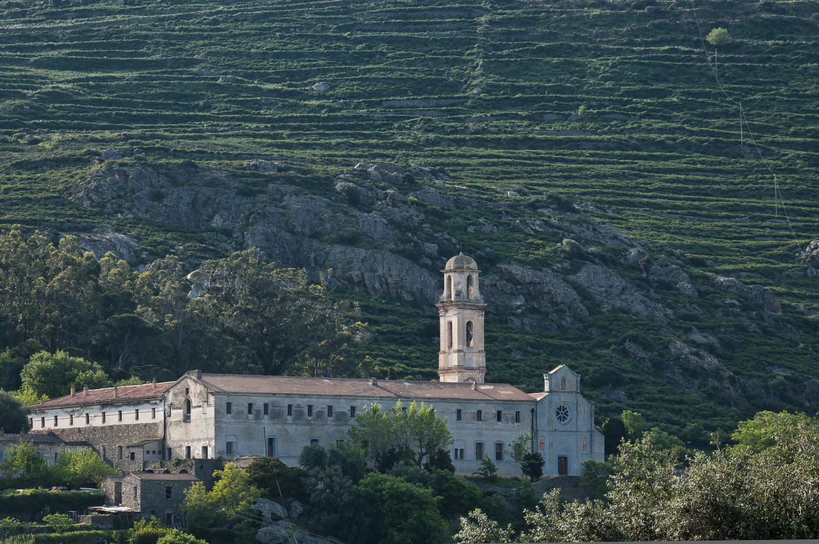 Couvent de Corbara Couvent de Corbara