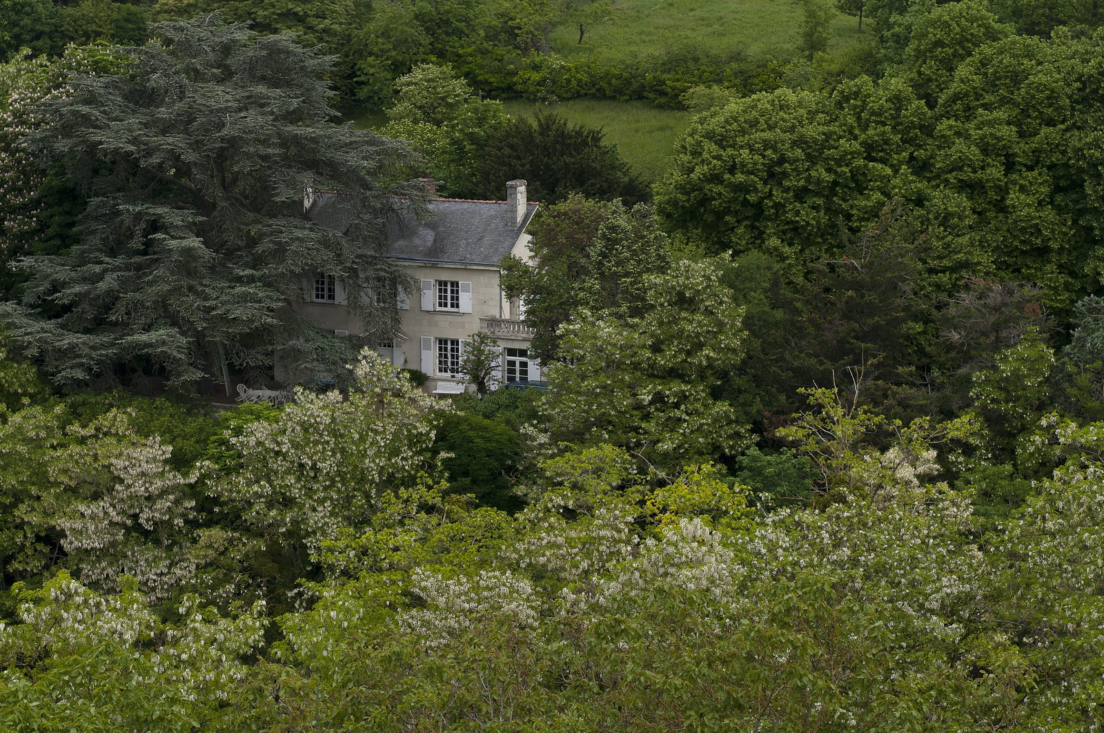 Maison dans les bois Maison dans les bois