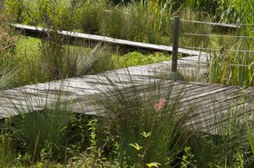 Jardin d'eau