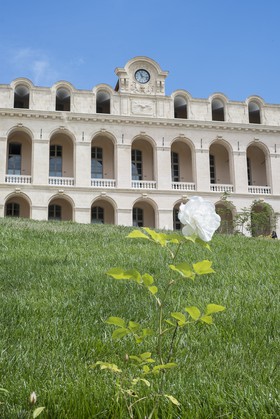 L'Hôtel-Dieu