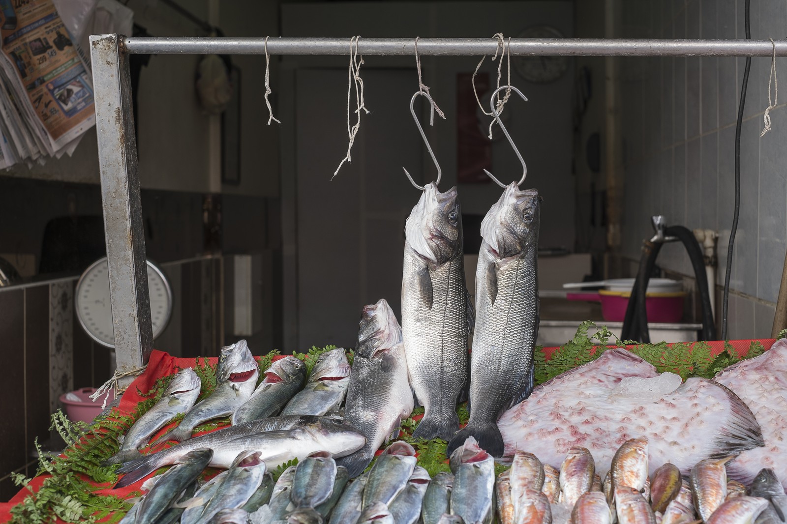Poissonnerie