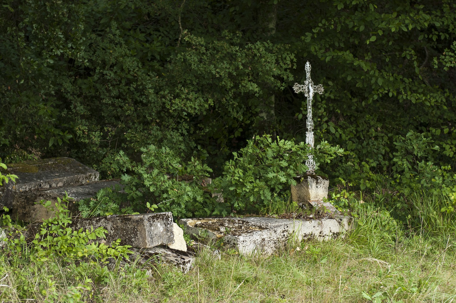 Cimetière abandonné Cimetière abandonné