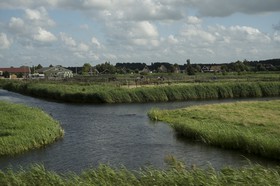 Champs hollandais