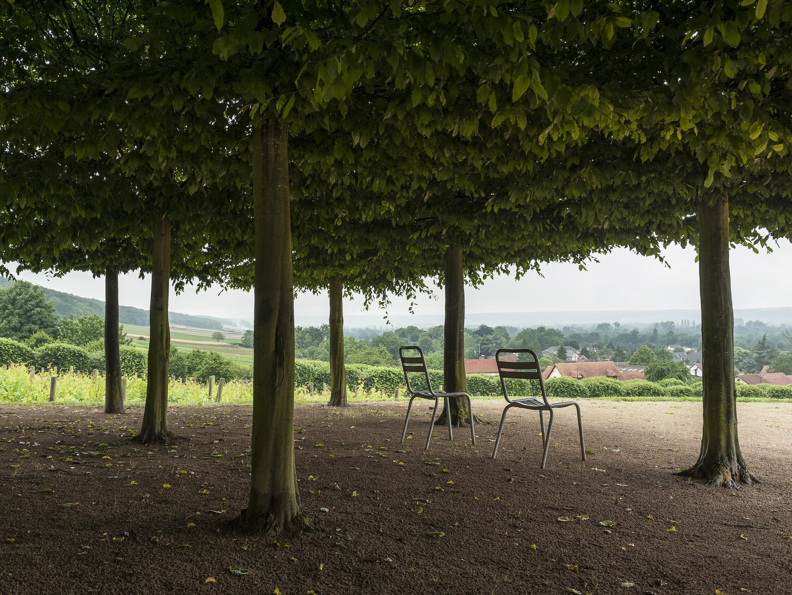 Les deux chaises Les deux chaises
