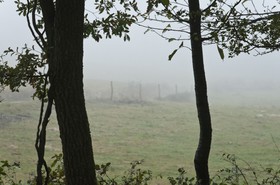 Paysage en Ariège