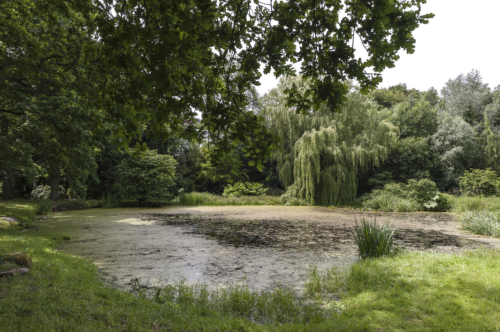 Etang Etang