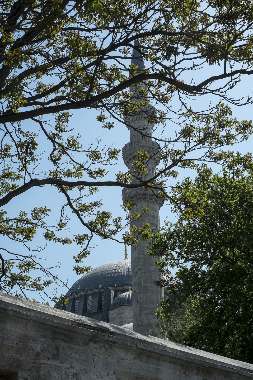 La mosquée de Soliman (Süleymaniye) La mosquée de Soliman (Süleymaniye)