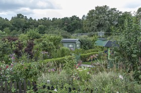 Jardins familiaux