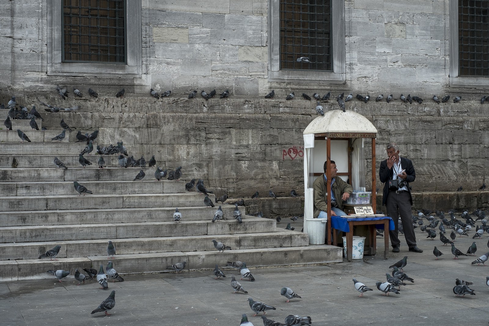 Le parvis aux pigeons Le parvis aux pigeons