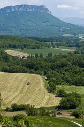 Champ et montagne