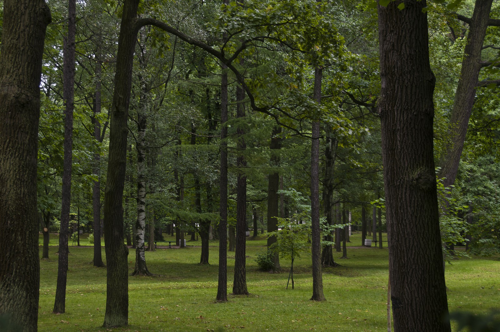 Parc inférieur Parc inférieur